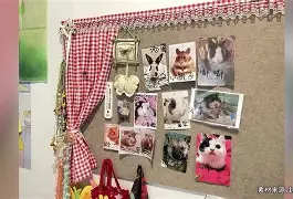 趣体育入口 -里程碑夜费城76人回应争议，英超加时末段刷纪录，态度坚定，赛程密集仍需轮换的简单介绍